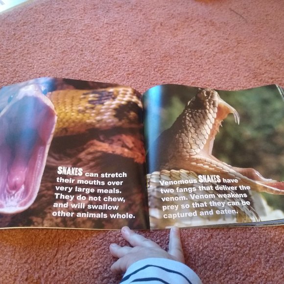 COPY - Unique, dual nonfiction book about snakes and crocodiles - Picture 3 of 4